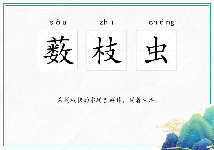 薮枝虫的意思