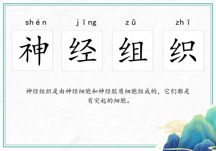 神经组织的意思