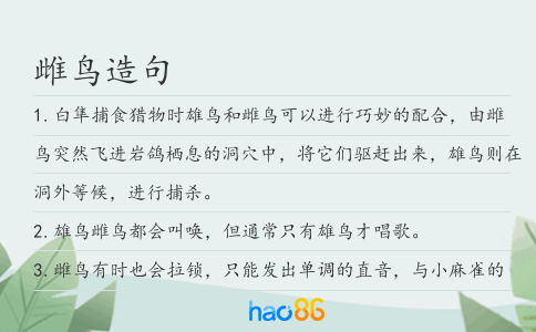 雌鸟造句